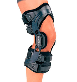 Внутренняя коллатеральная связка коленного сустава