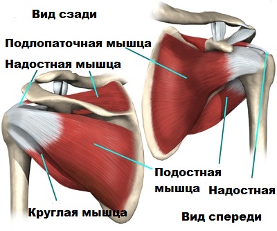 Разрыв манжеты плечевого сустава мрт