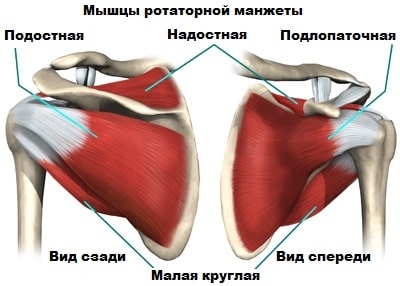 Эндопротезирование при артрозе плечевого сустава